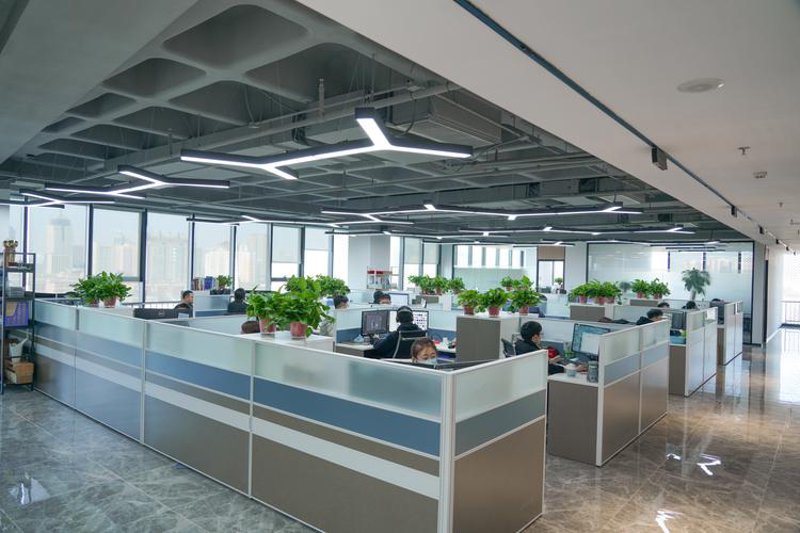 软件定制开发：企业成长之翼